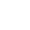 videoIcon